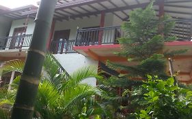 Peacock Villa Resort