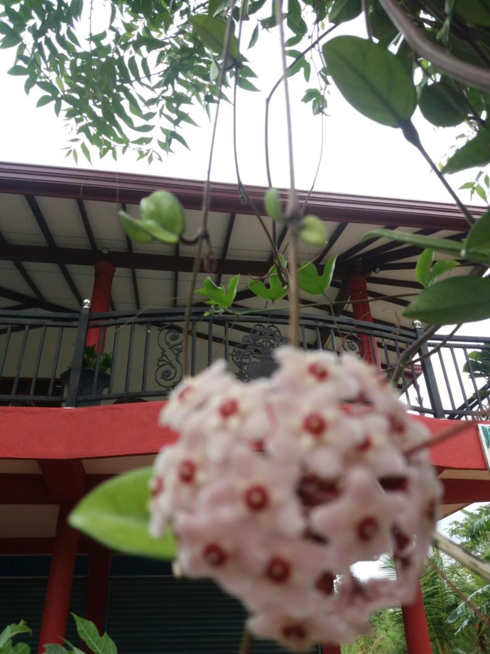 Peacock Villa Resort Udawalawe Esterno foto